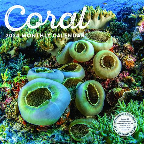Coral Interactive Career: Working at Coral Interactive .